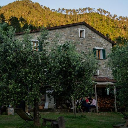 Agriturismo I Due Ghiri - Cinque Terre Calice al Cornoviglio Luaran gambar