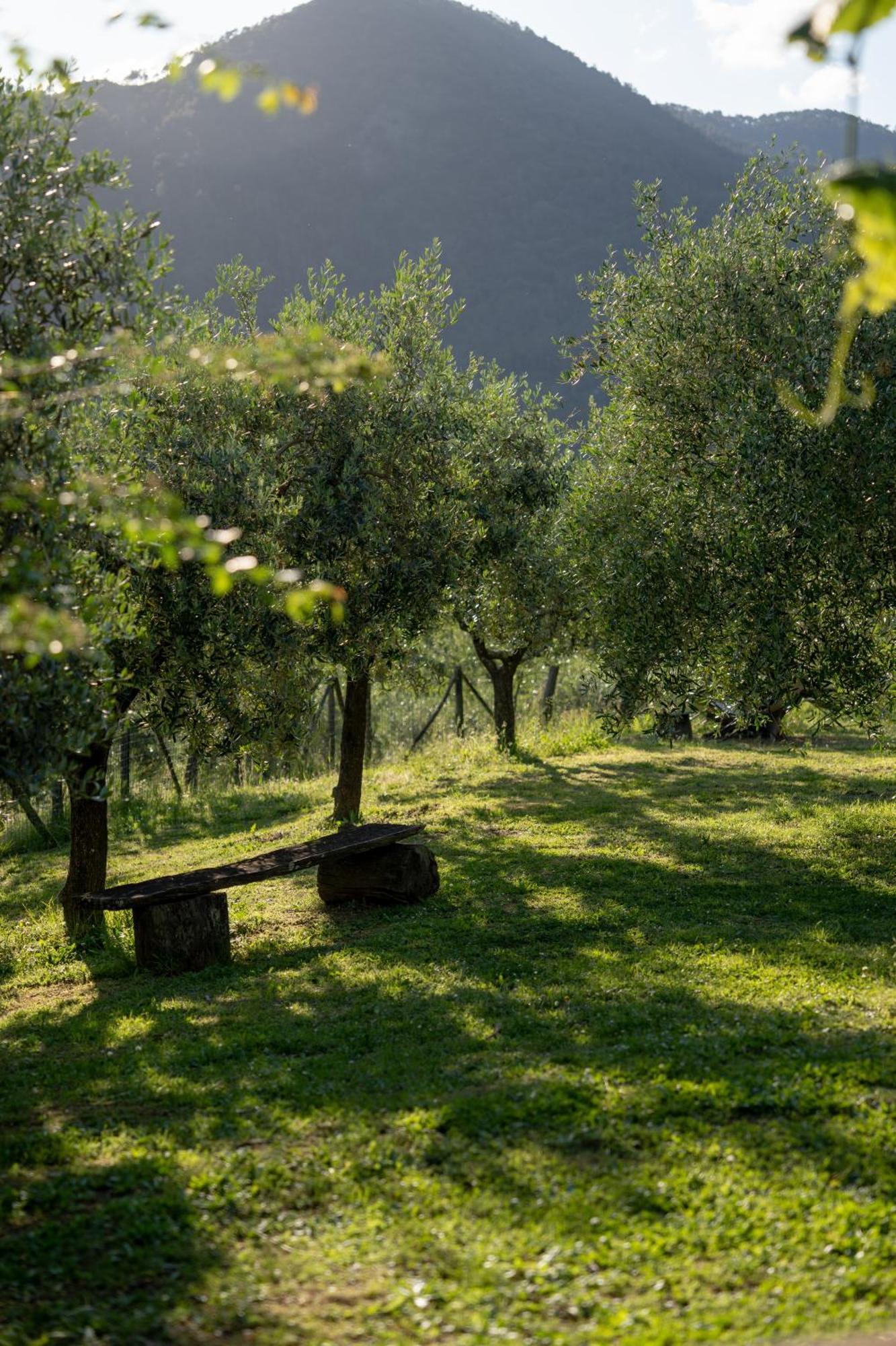 Agriturismo I Due Ghiri - Cinque Terre Calice al Cornoviglio Luaran gambar